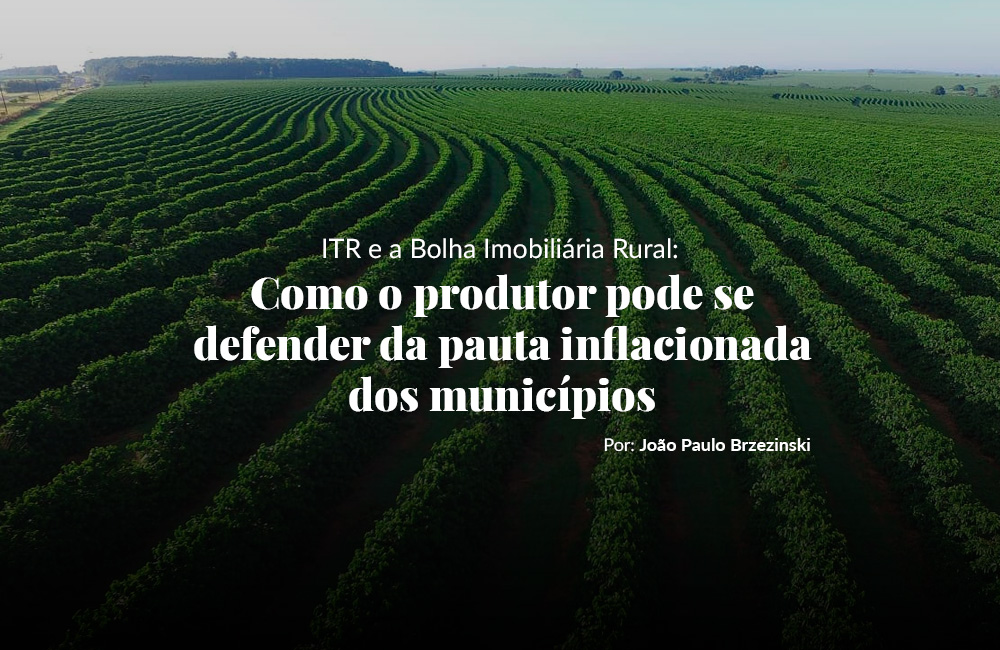 joao paulo brzezinski, brzezinski, João Paulo Brzezinski da Cunha, advogado João Paulo Brzezinski , metropole, g1, uol noticias, ISTOÉ DINHEIRO, jusbrasil, Advogado de Marconi Perillo